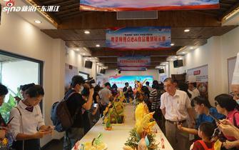 遂溪新闻爆料最新消息视频,视频揭露惊人真相！